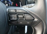 Toyota Yaris Cross 19