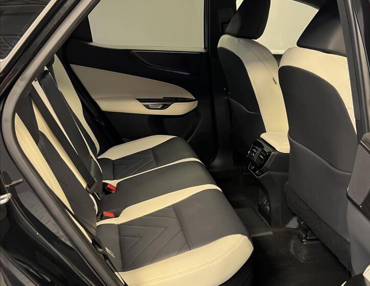 Lexus NX 450h plus 10