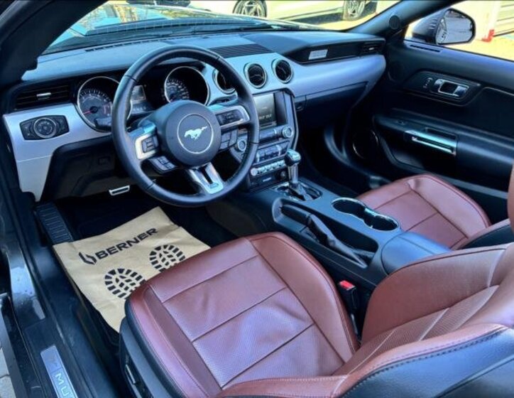 Ford Mustang Kabriolet 5,0 l 310 kw