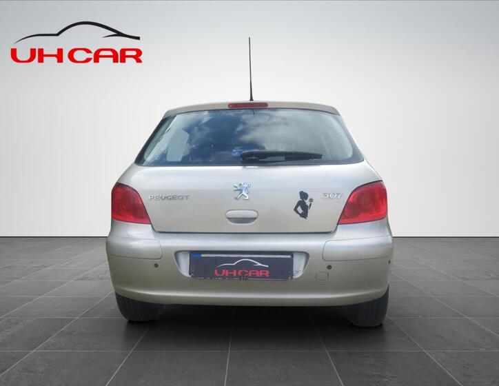 Peugeot 307 6