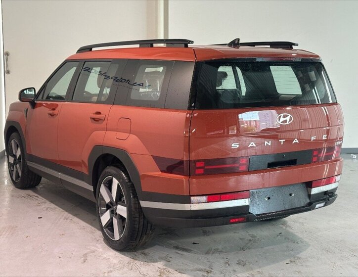 Hyundai Santa Fe 6