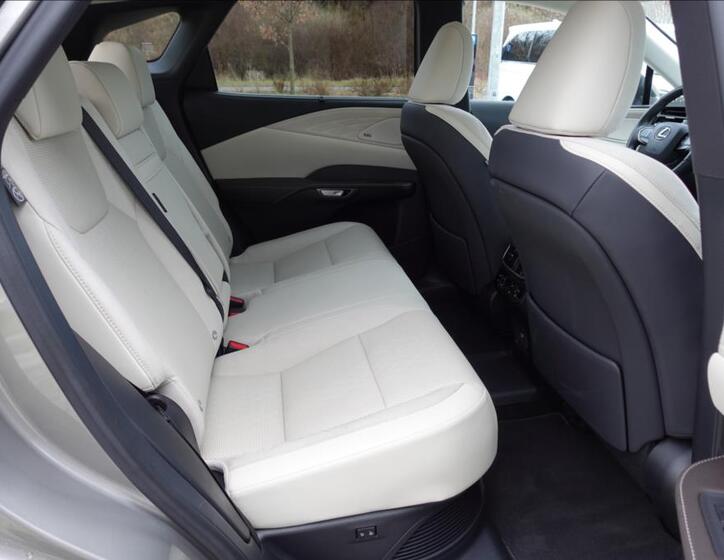 Lexus RX 450h plus 14