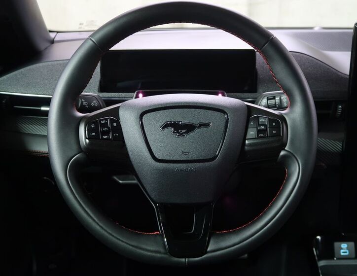 Ford Mustang Mach-E 16