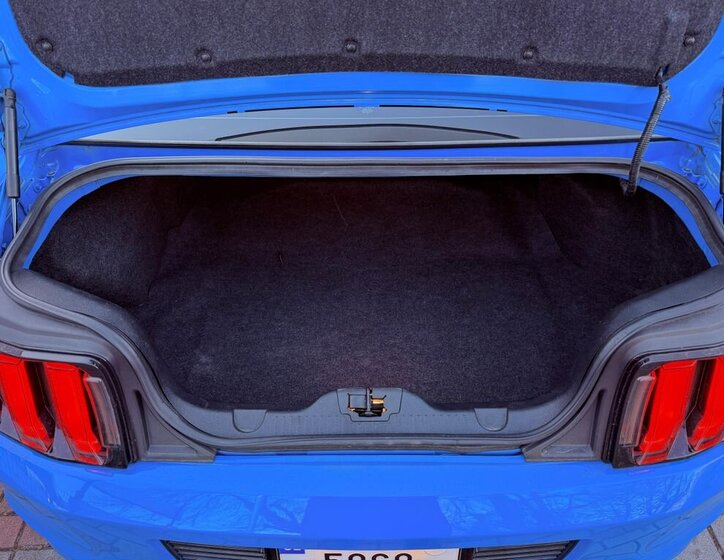 Ford Mustang Kupé 5,0 l 313 kw