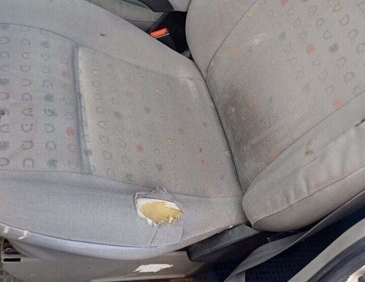 Volkswagen Caravelle VAN / Minibus 0,0 75 kw