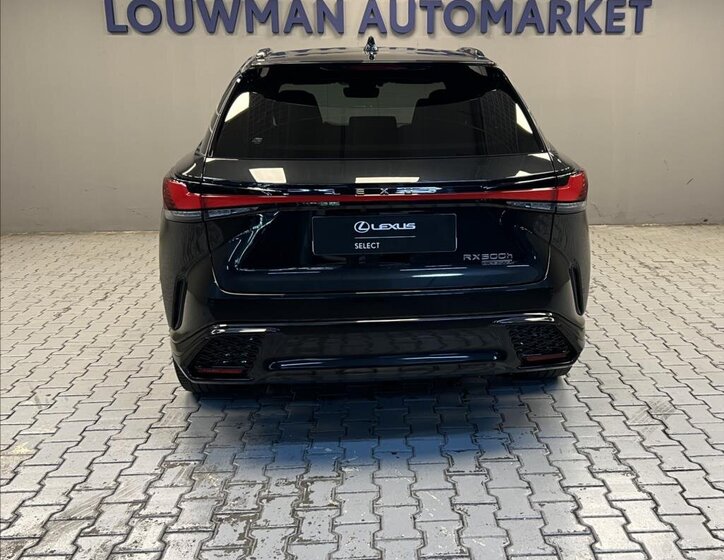 Lexus RX 500h SUV / Terénní 2,4 l 273 kw