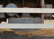 Renault Ostatní Valník 10,8 l 332 kw