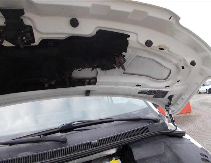 Volkswagen Transporter VAN / Minibus 1,9 l 75 kw