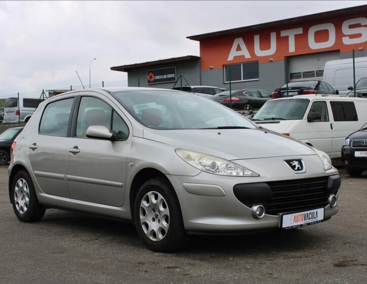 Peugeot 307 Hatchback 1,6 l 66 kw