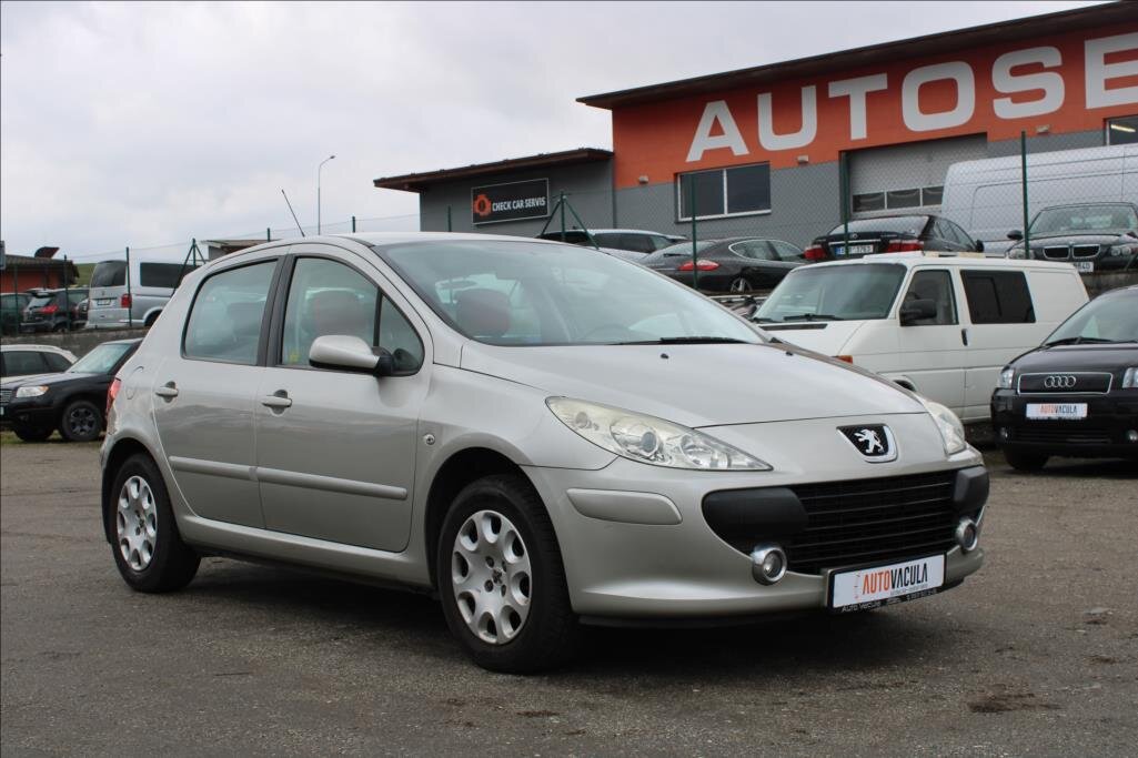 Peugeot 307 Hatchback 1,6 l 66 kw