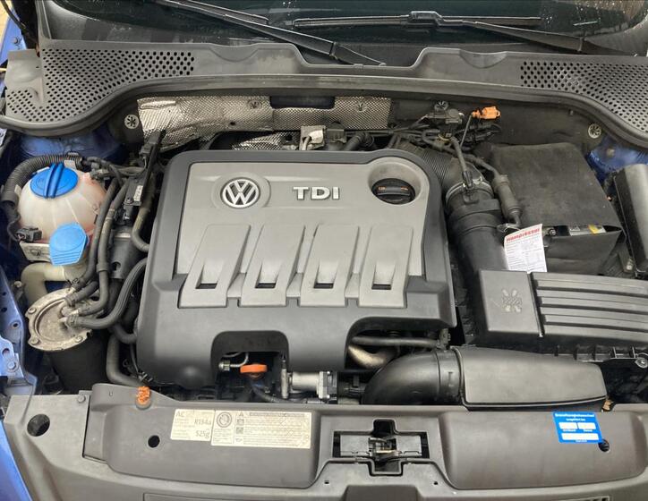 Volkswagen Beetle 29