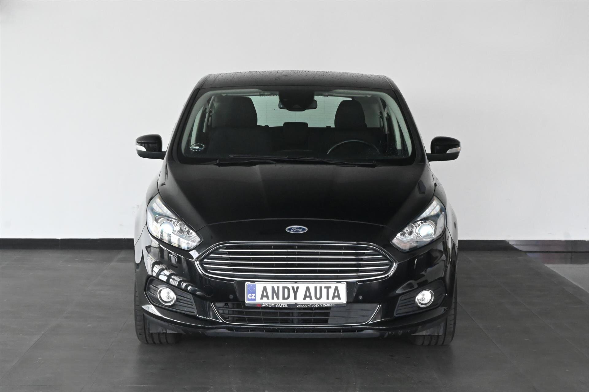 Ford S-MAX MPV 2,0 l 110 kw