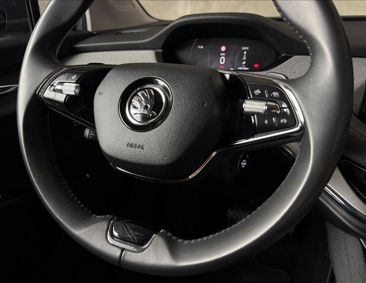 Škoda Enyaq SUV / Terénní 0,0 132 kw