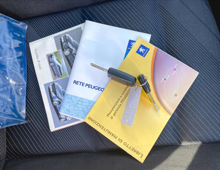 Peugeot 307 Hatchback 1,6 l 66 kw