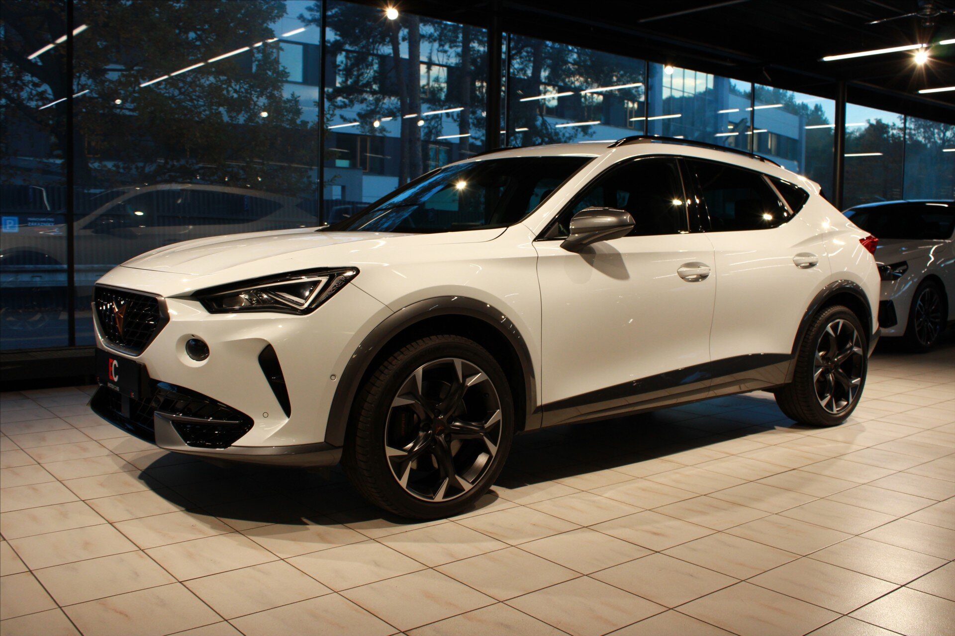 Cupra Formentor SUV 2,0 l 228 kw