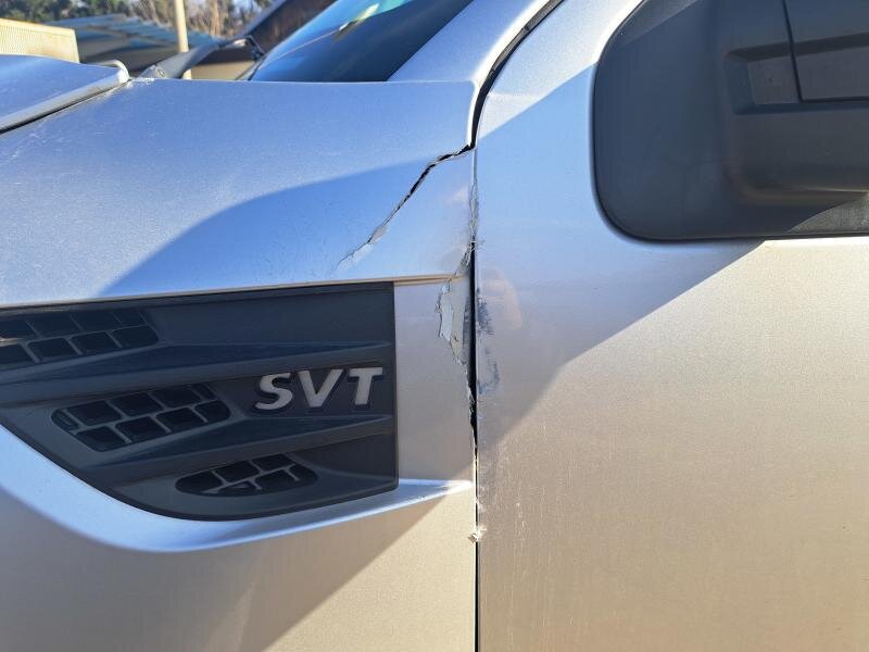 Ford F-150 Pick-up 6,2 l 306 kw