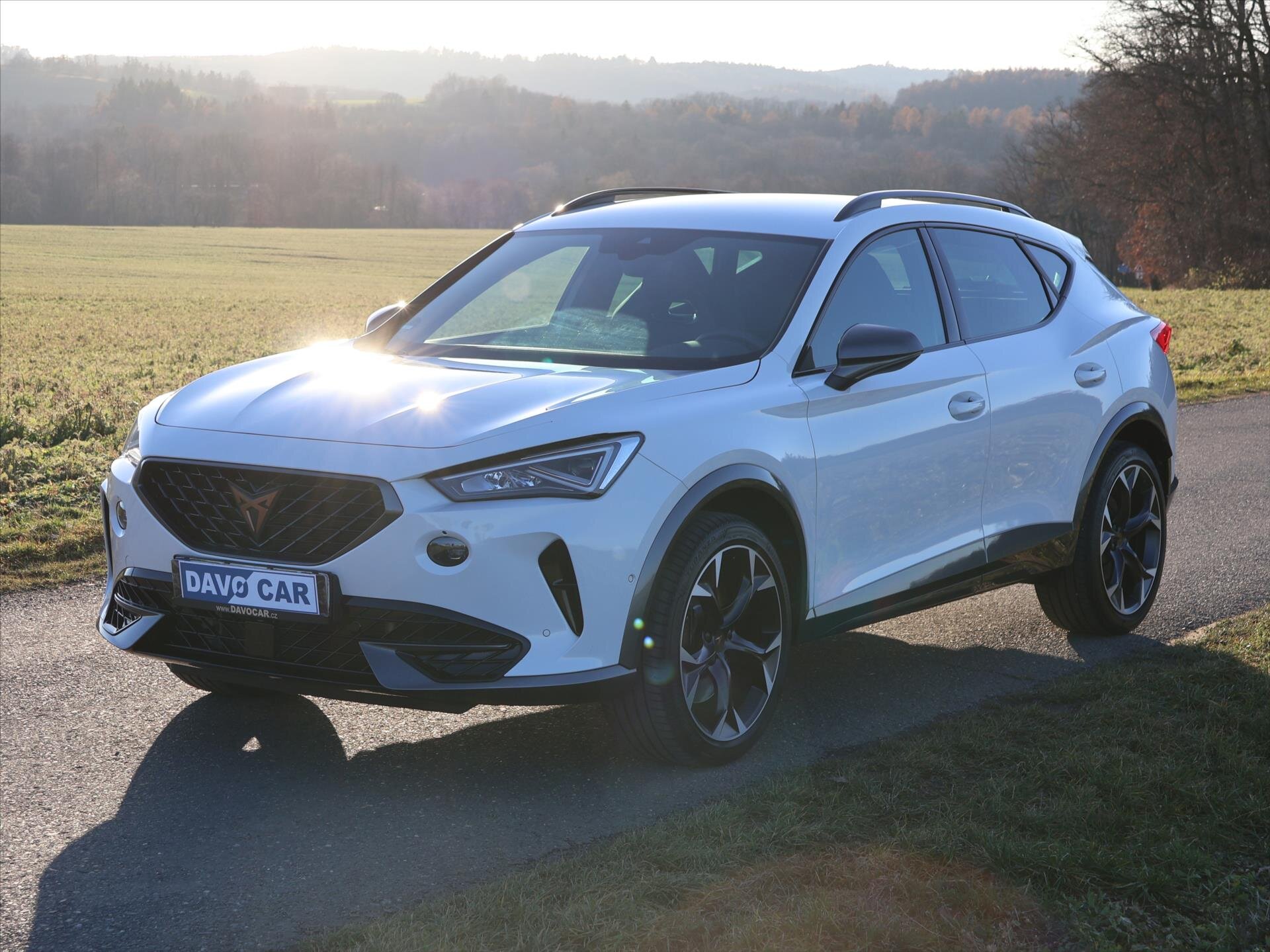 Cupra Formentor SUV / Terénní 2,0 l 228 kw