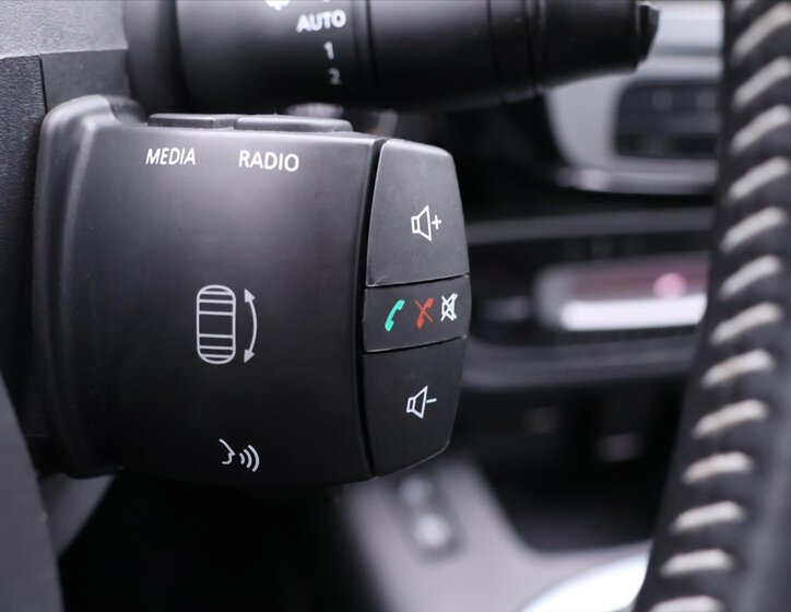 Renault Grand Scénic 22