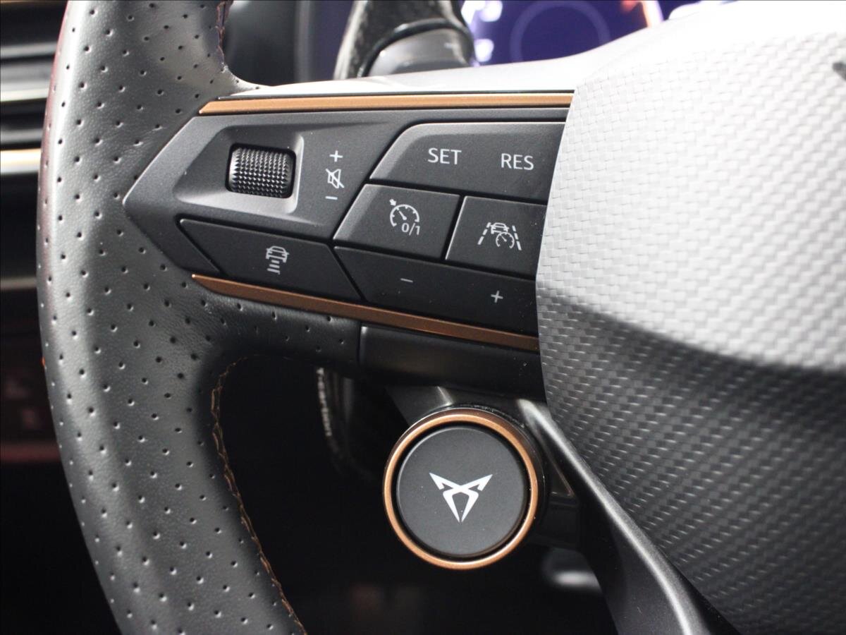 Cupra Formentor Kombi 2,0 l 228 kw