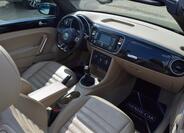 Volkswagen Beetle 23