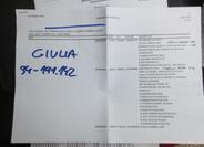 Alfa Romeo Giulia 39