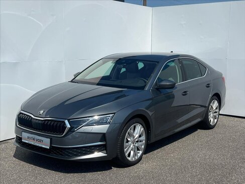 Škoda Octavia Sedan / Limuzína 2,0 l 110 kw