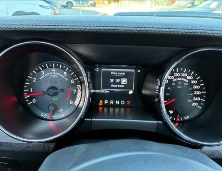 Ford Mustang Kabriolet 5,0 l 310 kw