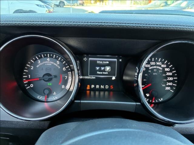 Ford Mustang Kabriolet 5,0 l 310 kw