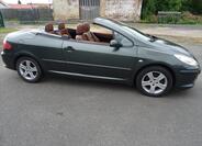 Peugeot 307 20