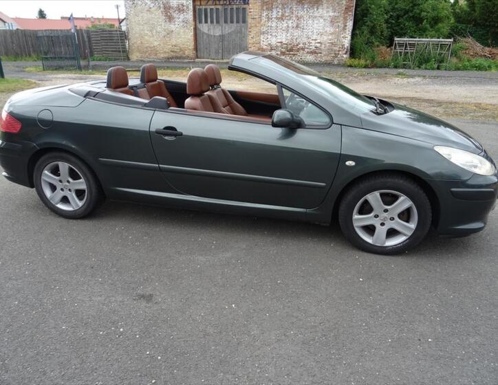 Peugeot 307 20