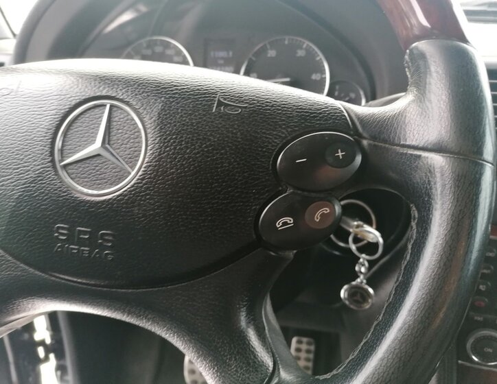 Mercedes-Benz Třídy G 19