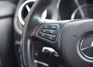 Mercedes-Benz Třídy X 31