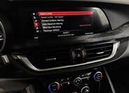 Alfa Romeo Stelvio 25