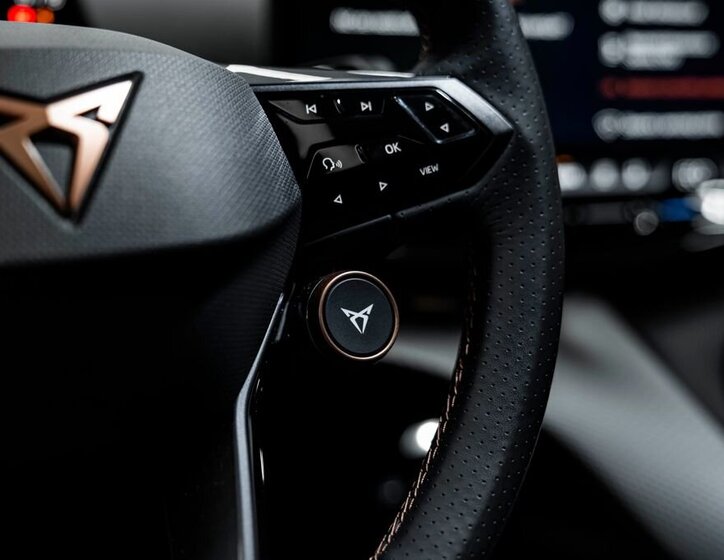 Cupra Ostatní SUV 0,0 210 kw