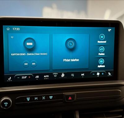 Ford Transit Custom 12