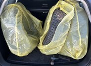 Volkswagen Golf Kombi 2,0 l 103 kw