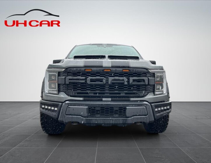 Ford F-150 Pick-up 5,0 l 298 kw