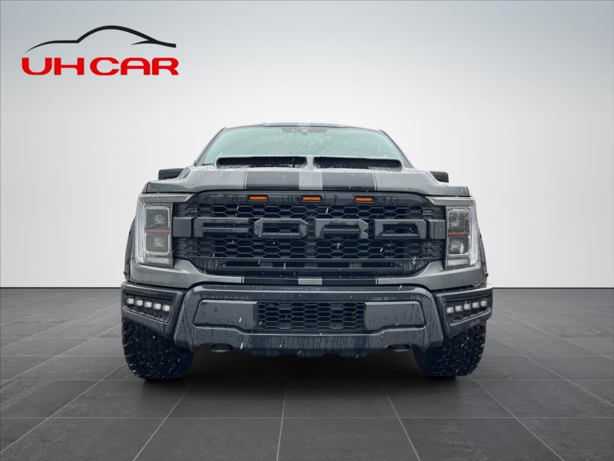 Ford F-150 Pick-up 5,0 l 298 kw