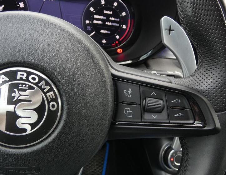 Alfa Romeo Tonale 12