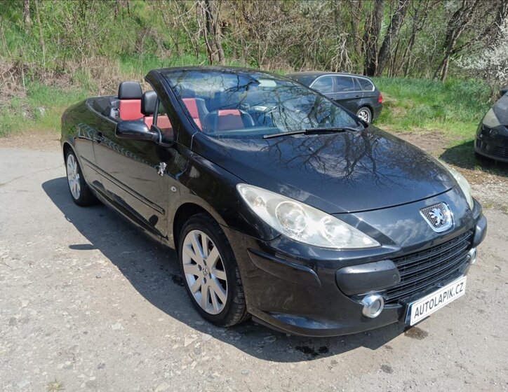 Peugeot 307 Kabriolet 2,0 l 103 kw