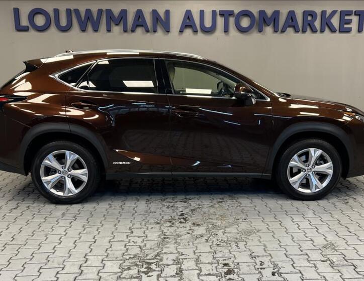 Lexus NX 300h 14