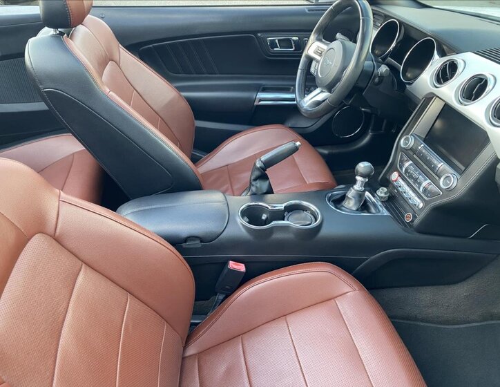 Ford Mustang Kabriolet 2,3 l 233 kw