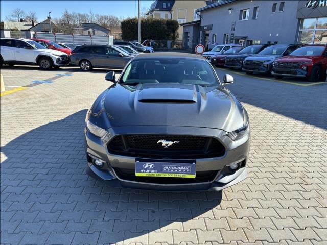 Ford Mustang Kabriolet 5,0 l 310 kw