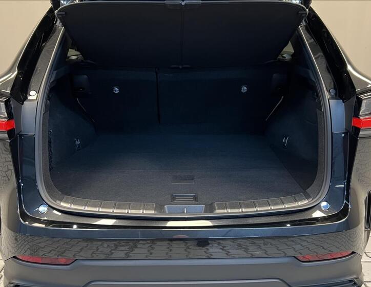 Lexus NX 450h plus 9