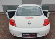 Volkswagen Beetle 6