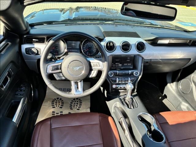 Ford Mustang Kabriolet 5,0 l 310 kw