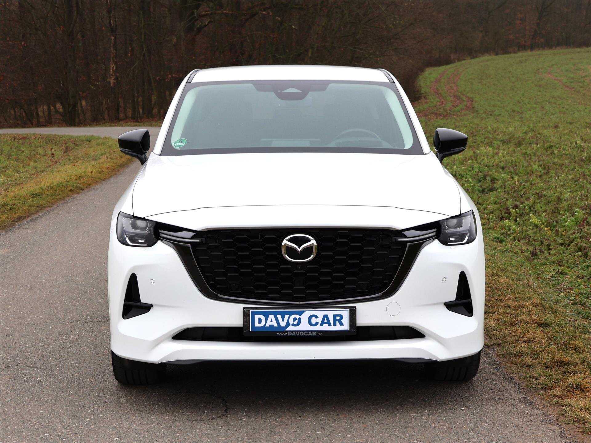Mazda CX-60 SUV / Terénní 3,3 l 187 kw