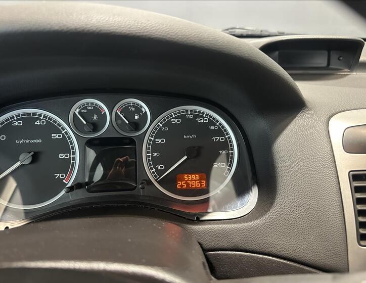 Peugeot 307 24