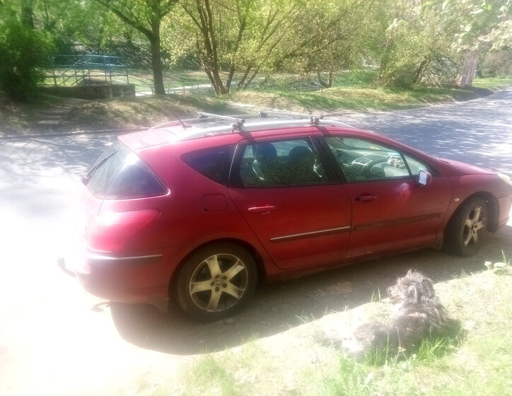 Peugeot 407 Kombi 2,0 l 100 kw