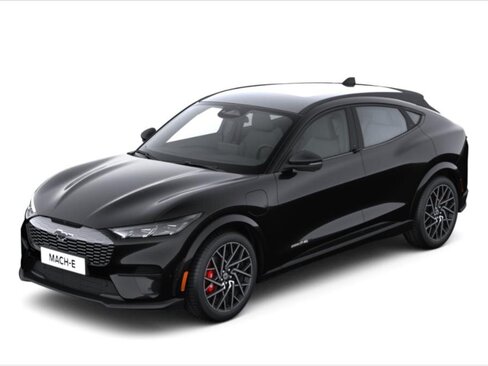 Ford Mustang Mach-E SUV 0,0 358 kw